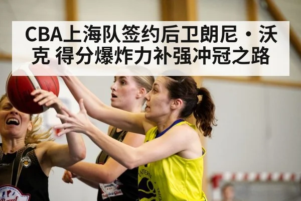 CBA上海队签约后卫朗尼·沃克 得分爆炸力补强冲冠之路